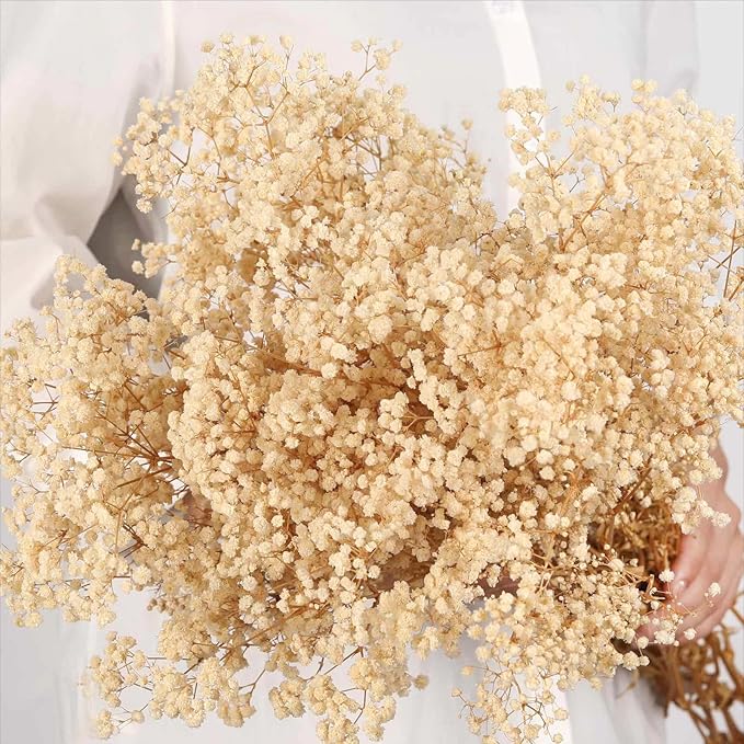 Babys Breath Dried Flowers Bouquet-17'' 3000+ Dry Flowers, Natural Gypsophila Branches for Wedding, Home Table Vase Decor, DIY Wreath Floral, Fall Thanksgiving Autumn Decoration (Ivory White, 3oz)