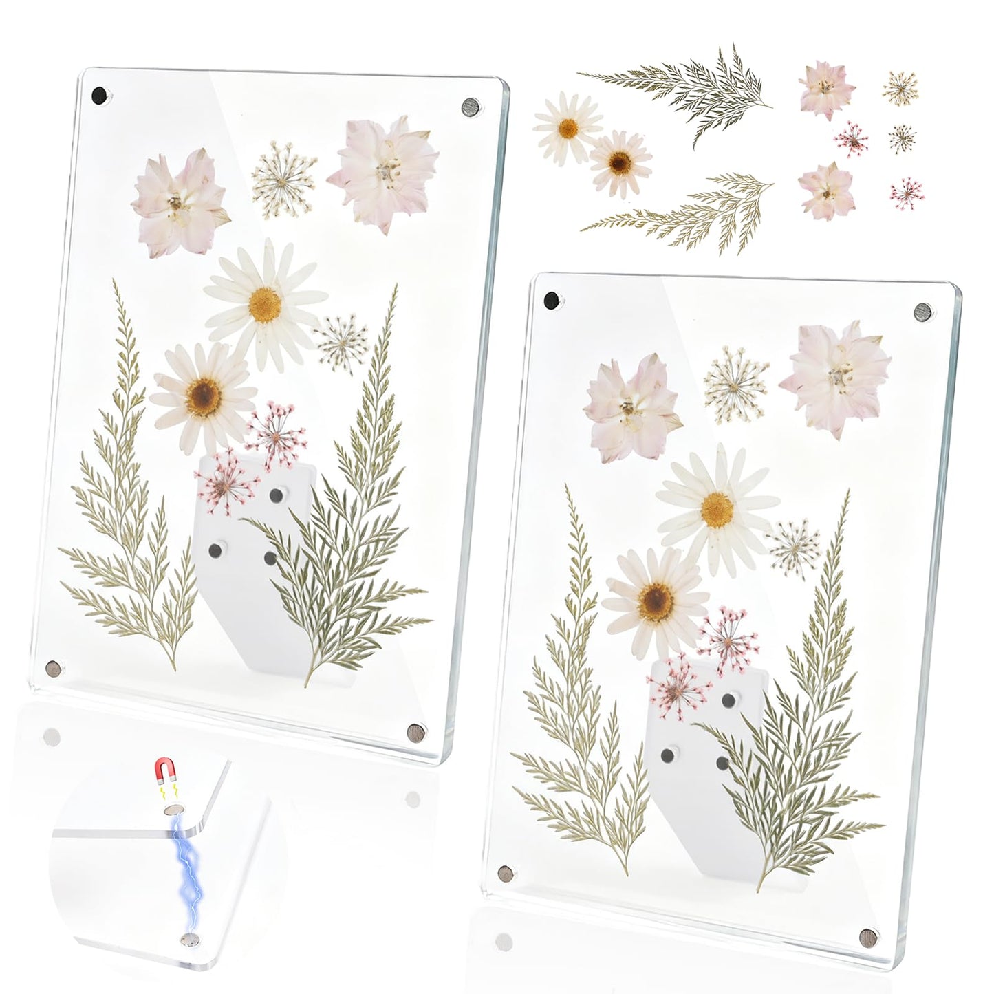 Cnbnd Clear Acrylic Magnetic Pressed Flower Frame, Double Panel Floating Frame for Dried Flower Display, Easy-Open Magnetic Acrylic for DIY Art, Home & Office Wall Décor Gift(Transparent 2Pcs, 8X6in)