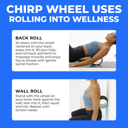 Chirp Wheel Foam Roller – Targeted Back & Neck Relief, Lumbar Spine Stretcher, Spinal Decompression Back Stretcher, Massage Roller with Density Foam for Physical Therapy, Supports 500lbs, 2-Inch Mint