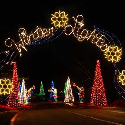 24" Christmas Big Snowflake Lights Mains Powered with Timer for Xmas Decor