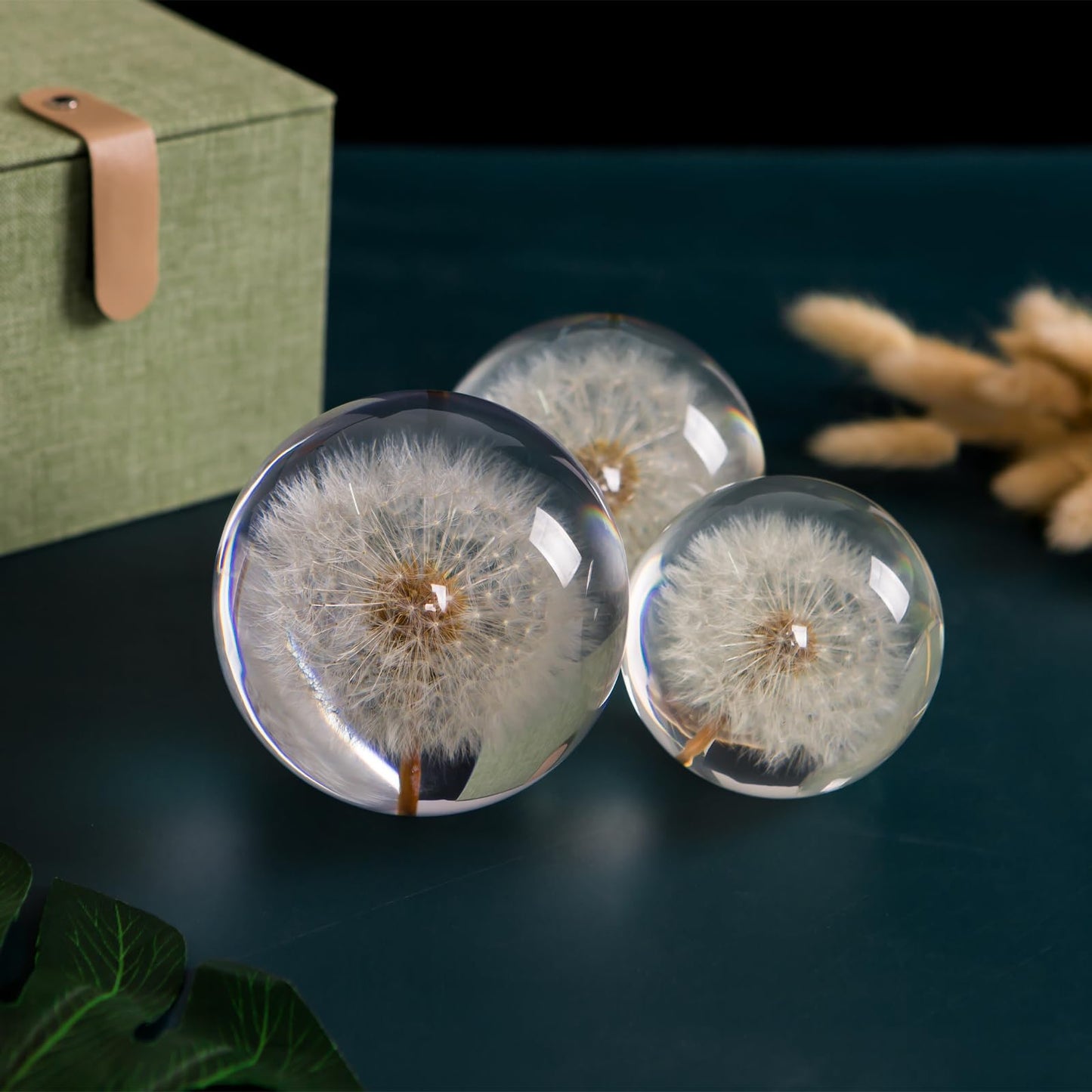 Paperweight Dandelion Dream Ball. Crystal Wishing Ball. Unique Paperweight Made of Dandelion. Gift for Women Men (Mom, Dad, Teacher), Birthday, Wedding, Valentine's Mother's. (9CM)