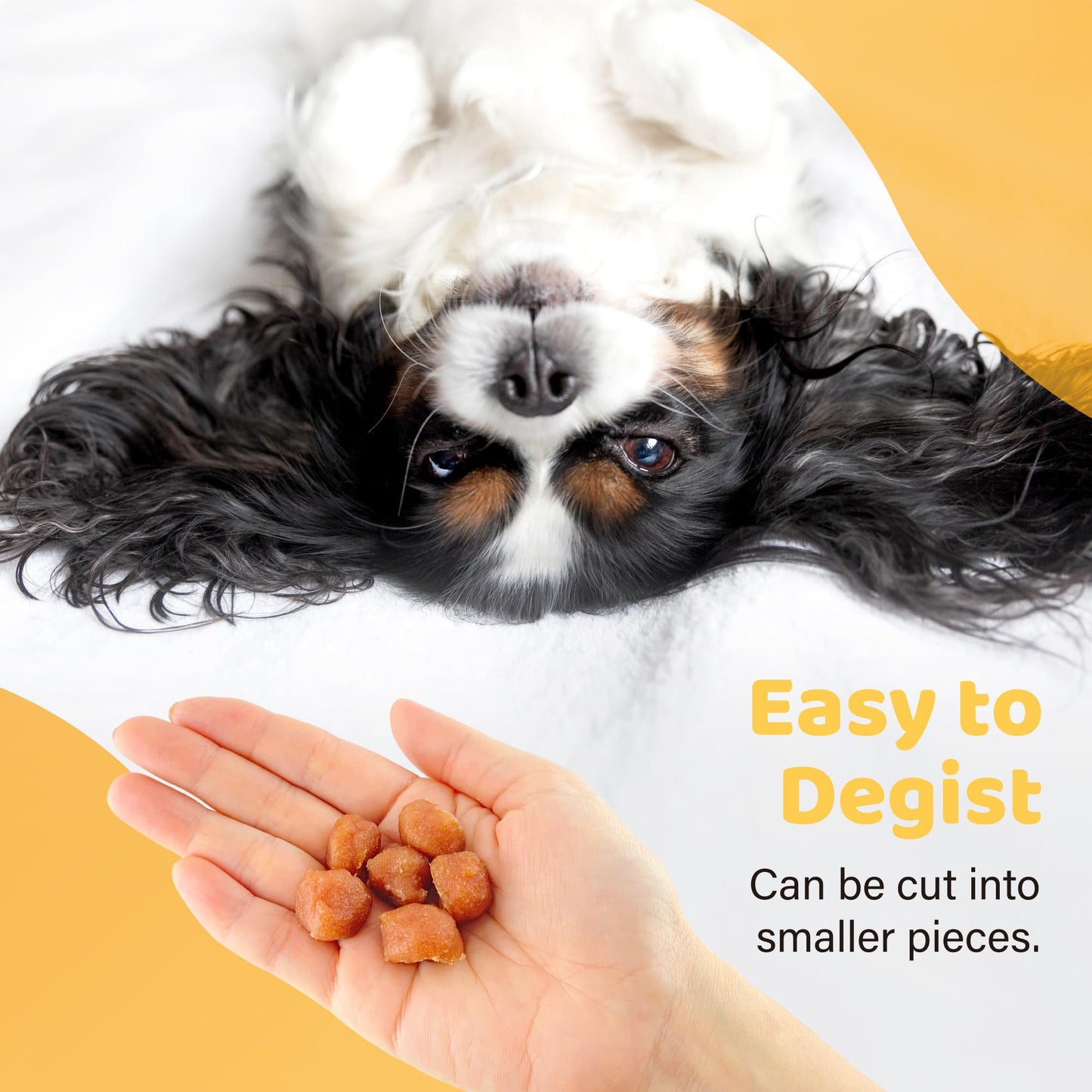iPaw Turkey Tots Dog Treats for Puppy Training, SQF Certified Human Grade Dog Treat, Hypoallergenic, Easy to Digest (Turkey Tots)