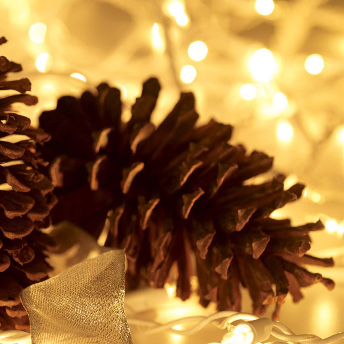 HISHINY Christmas Lights 100 Count Mini Clear Lights 32ft White Wire Christmas Tree String Lights Set for Outdoor Indoor Christmas Decorations Wedding Valentines Day Decor,UL Certified (32feet)