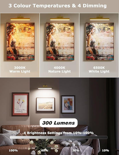 Picture Light Battery Operated, 13in Wireless Art Light for Paintings, Dimmable 5000mAh Recharging Battery Picture Light with Remote Control for Wall, Gallery Dartboard Art Bedroom (Gold-2Pack)