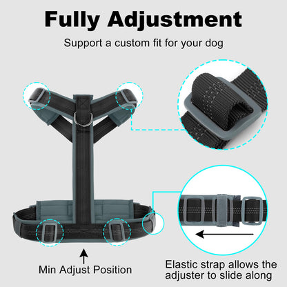 Plutus Pet No Pull Dog Harness, Adjustable Nylon Harness with Soft Padding, Reflective and Heavy Duty Dog Harness for Small, Medium, Large Dogs(Black, M)