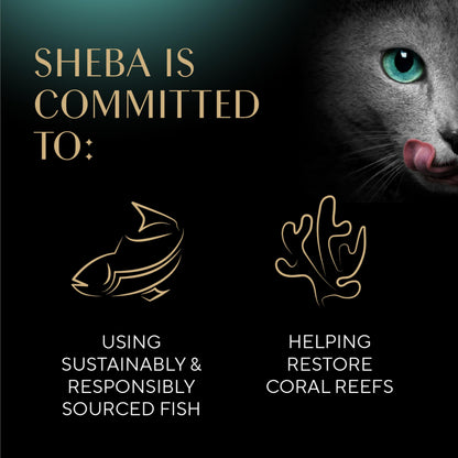 Sheba Gravy Indulgence Adult Wet Cat Food Beef Entree in Extra Gravy, 2.6 oz. Twin-Pack Trays (24 Count, 48 Servings)