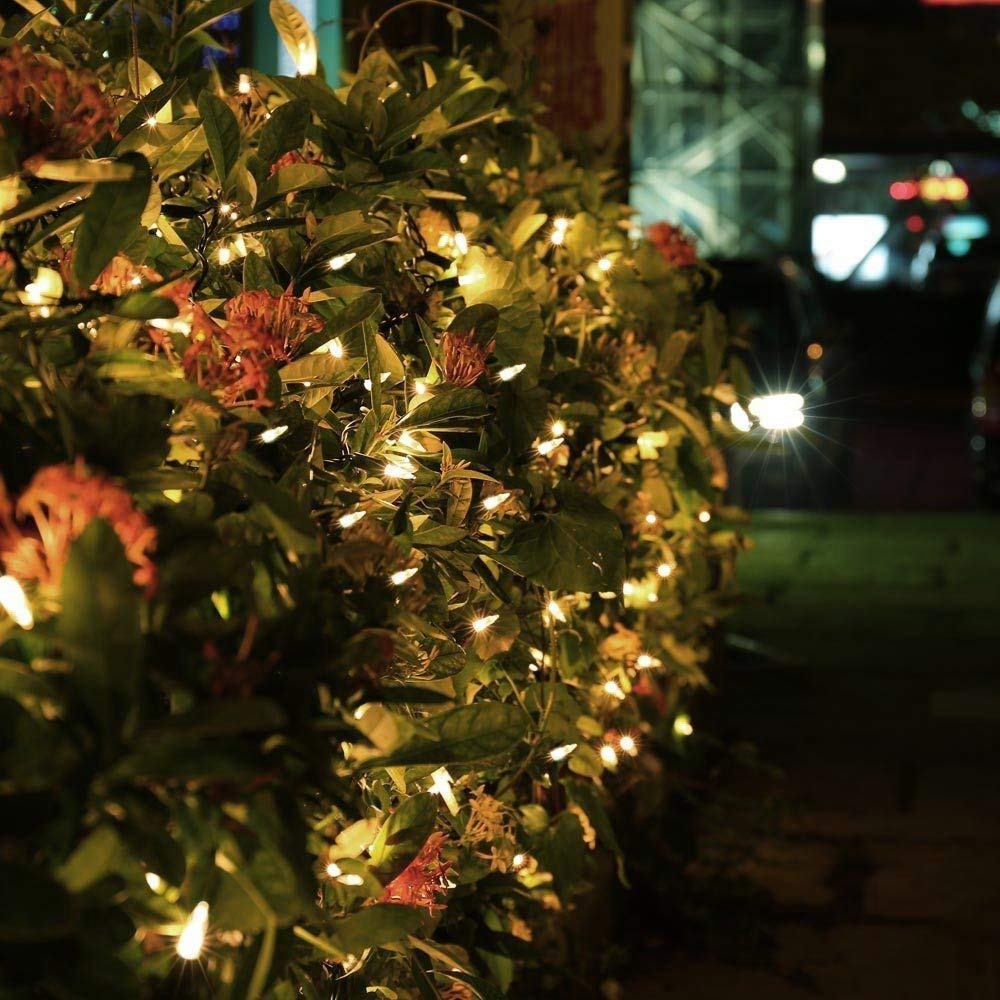 Christmas Timers - Battery Operated LED Lights Outdoor Timer, Waterproof, Warm White, 100 LEDs, 8 Modes, Clear Mini Lights Set for Wedding Party, Home Garden Wreath