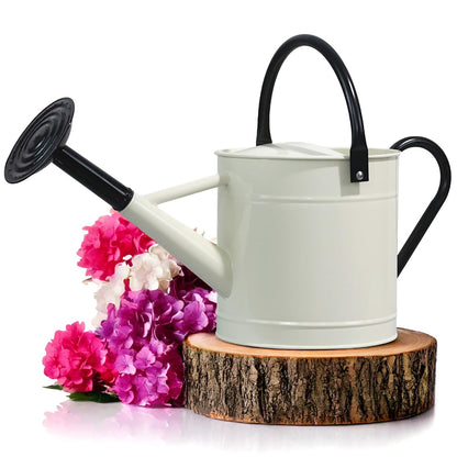 Plexon 1 Gallon Metal Watering Can Outdoor, Flower Plant Gardening Garden Large Watering Can Pot, Black Galvanized Steel Handles and Removable Spray Spout, Off-White
