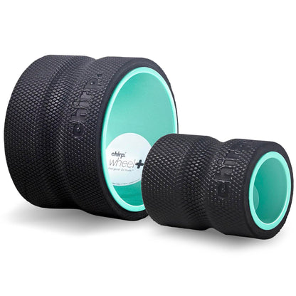 Chirp Wheel Foam Roller – Targeted Back & Neck Relief, Lumbar Spine Stretcher, Spinal Decompression Back Stretcher, Massage Roller with Density Foam for Physical Therapy, Supports 500lbs, 2-Inch Mint