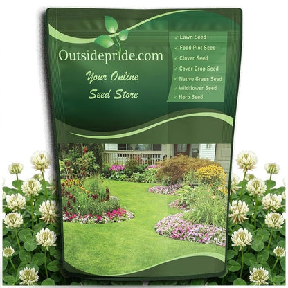 Outsidepride Perennial White Dutch Clover Seed - 1 lbs. Nitrocoated, Inoculated Clover Seeds for Lawn Alternative, Erosion Control, Food Plots, Ground Cover, & Pasture Mixtures in USDA Zones 3-10