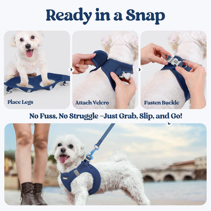 rabbitgoo Dog Harness Small Sized and Leash Set, Step in Soft Light Puppy Vest, Breathable Mesh Pet Harness, Reflective for Safe Outdoor Walking, Navy Blue XS