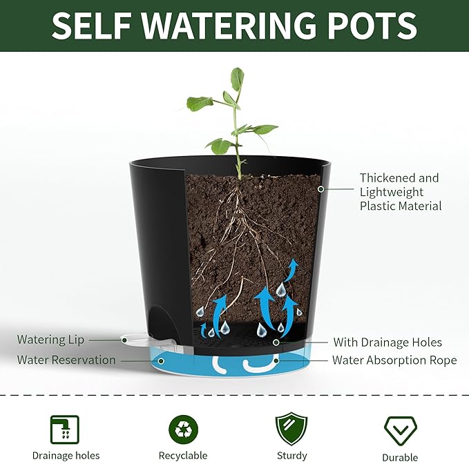 4 Inch 10 Pack Small Self Watering Pots for Indoor Plants, Nursery Pot with Drainage Holes and Saucers, Plastic Small Flower Planter for Succulent, Aloe, Cacti and More (Black)