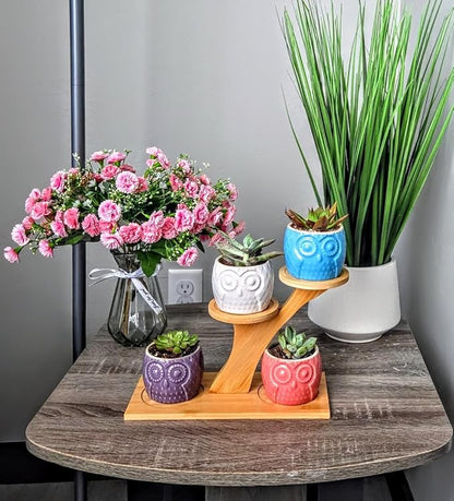 Blisse Wood Owl Planter (White)