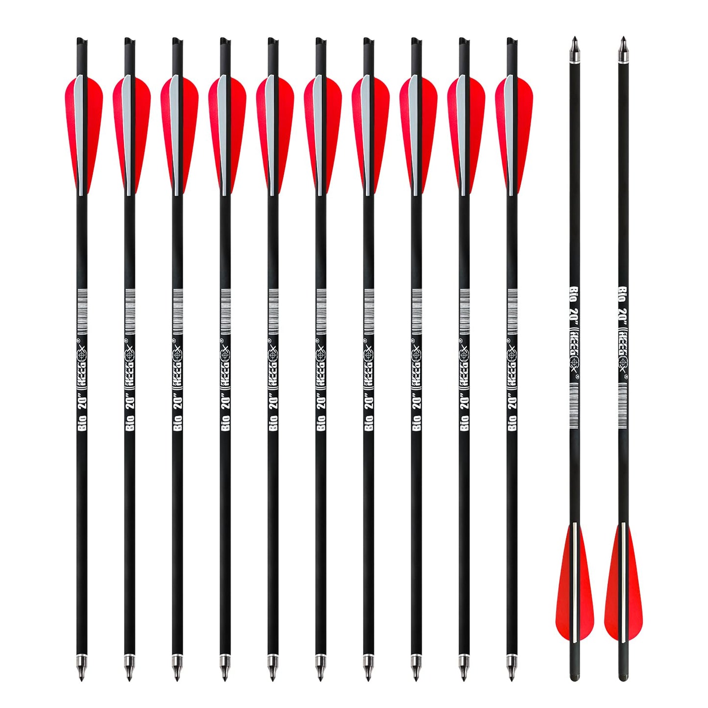 REEGOX Crossbow Bolts 20 inch Bio Crossbow Arrows with Moon Nocks and Removable Tips (Pack of 12) (20"-Red)