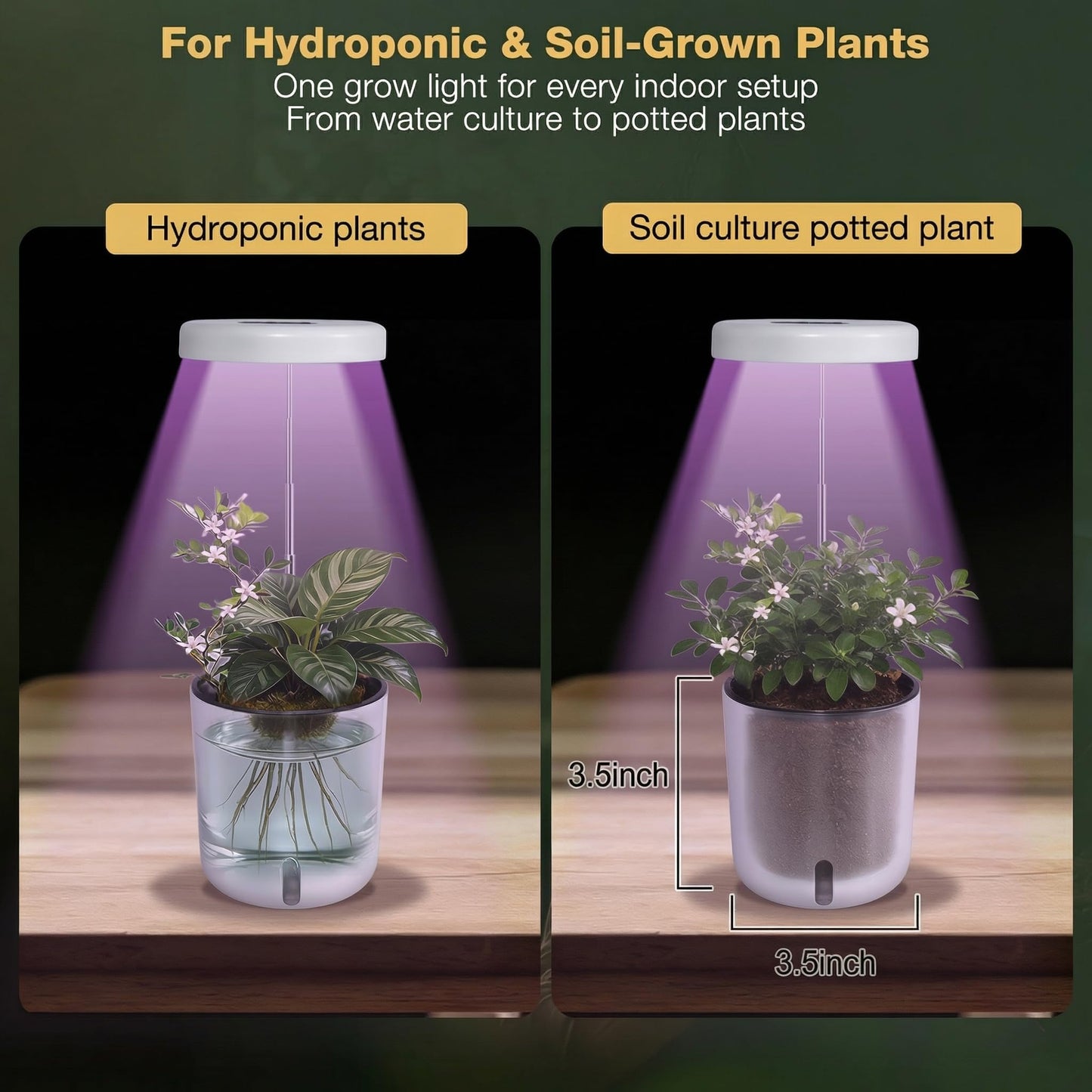 Raygrov Self-Watering Planter with Grow Light — Cute Desk Plant Pot for Office, Bedroom & Window — No Green Thumb Needed, 2-in-1 Wall + Desktop, USB Powered (5W LED, White)