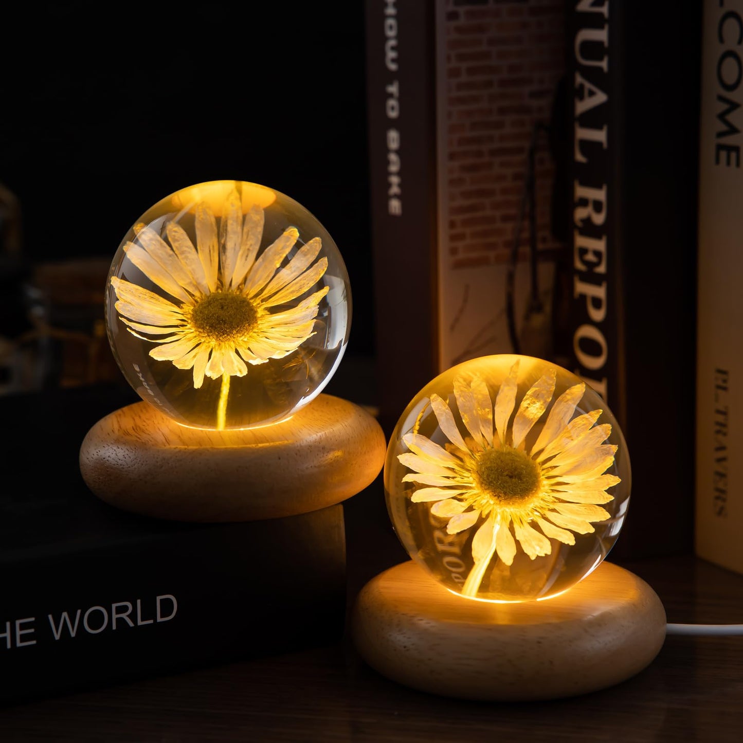 MARZIUS Flower Crystal Ball Night Light,2.75 inch Glass Ball Night Lamp with Woodern Base (Leucanthemum)