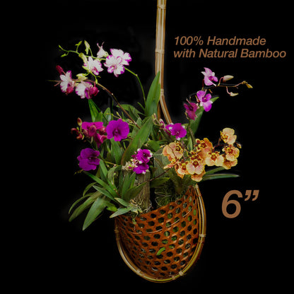 PANWA Handmade 100% Thai Bamboo Super Sanctuary Hanging Orchid Basket - 6 Inch Set of 2