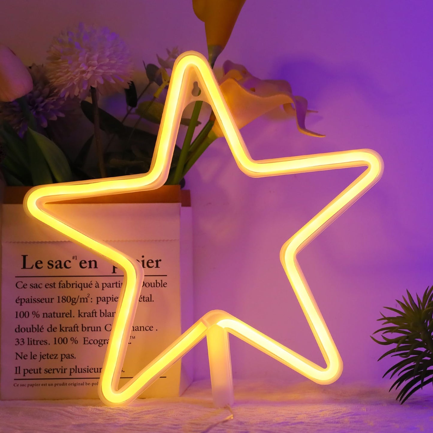 ENUOLI LED Neon Sign Star Neon Lights Warm White Neon Wall Light Star Night Light LED Lights Wall Decoration Art for Girls Bedroom Living Room Christmas Party as Kids Gift