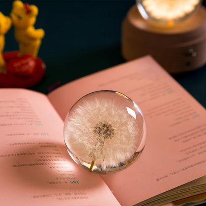 Paperweight Dandelion Dream Ball. Crystal Wishing Ball. Unique Paperweight Made of Dandelion. Gift for Women Men (Mom, Dad, Teacher), Birthday, Wedding, Valentine's Mother's. (9CM)