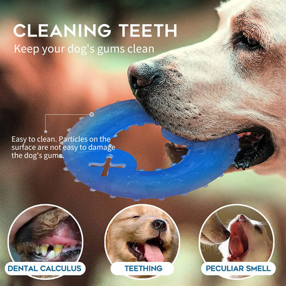 SPOFLY Freezable Puppy Teething Toy, 1 Teething Ring +1 Teething Bone Freezable Dog Chew Toys Set (Blue)
