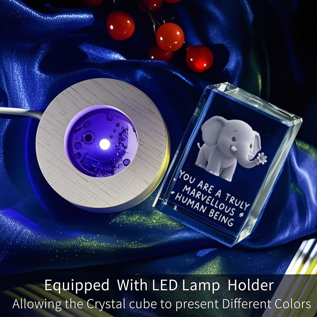 YouerCrystal Elephant Gifts for Women, Friendship Gifts for Women Best Friends Sisters, Birthday Gift, 3D Elephants Decor Crystal Figurine Night Light