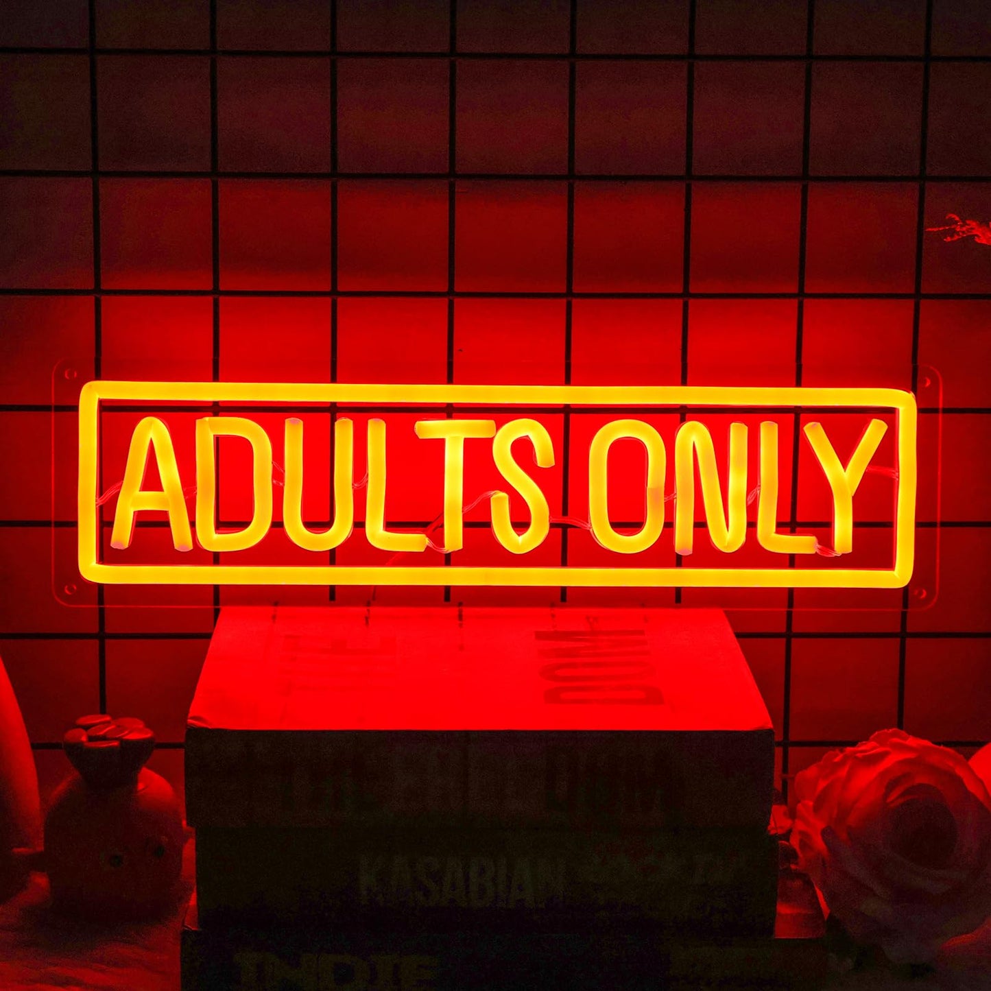 Adults Only Neon Sign, Dimmable USB Powered LED Neon Lights Letter Words Signs for Bedroom Bar Man Cave Hotel Party Game Room Wall Decor