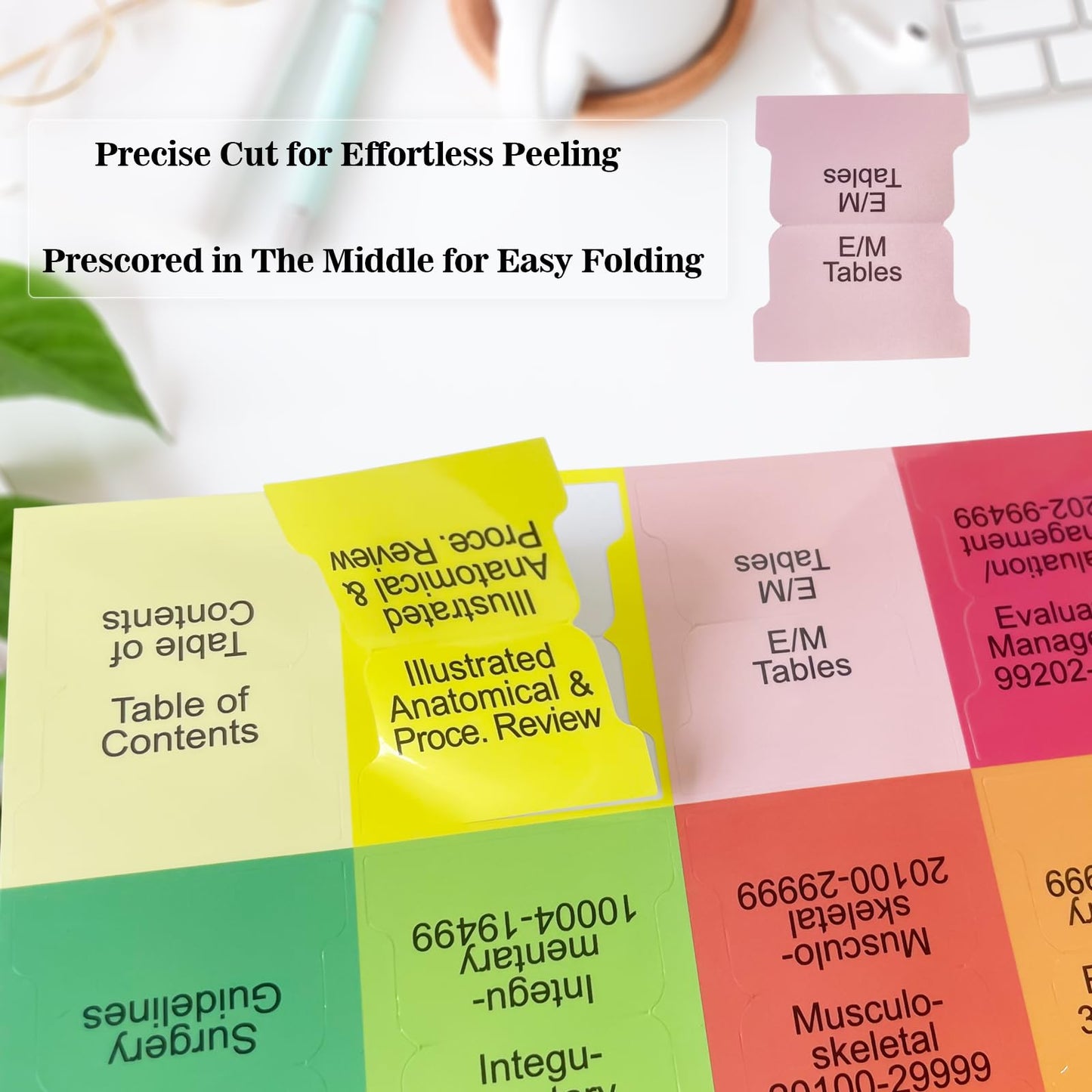 Upgraded Index Tabs for CPT 2026 Professional Edition, Complete CPT Book Tabs, Laminated, Color-Coded & Long-Last, with Page Numbers and Alignment Guide & Inspirational Bookmark (Book not Included)