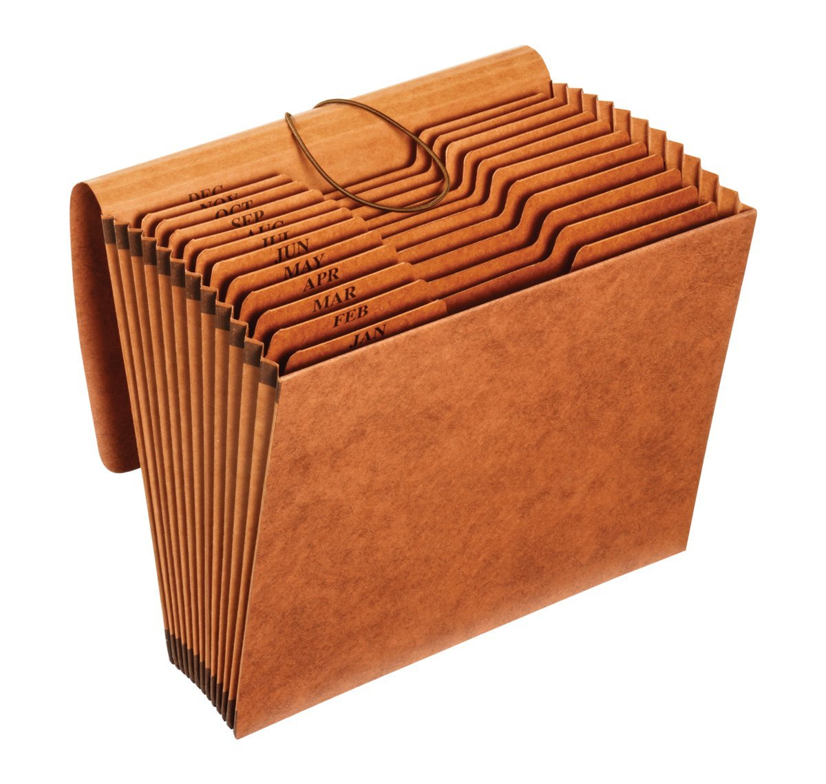Pendaflex Heavy Duty Expanding File with Flap, Document Organizer for School, Home and Office, Portable File Organization, 12 Monthly Pockets, 1/3 Cut Tabs, Brown, Letter Size (R117MLHD)