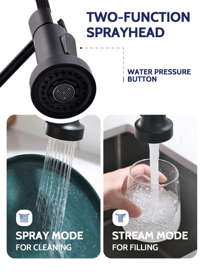 Kitchen Faucet with Pull Down Sprayer, High Arc Single Handle Stainless Steel Kitchen Sink Faucet with Sprayer for Rv Camper, Matte Black