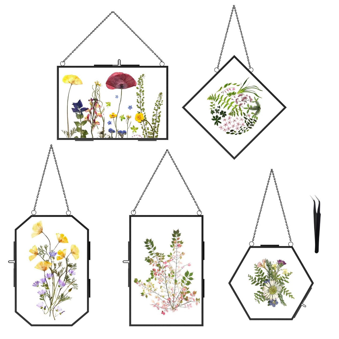 FOCHIER F 5 Pcs Pressed Flower Frames with Tweezers, Wall Hanging Tabletop Display Double Glass Frames with Metal Chain for Pressed Dried Flowers Plants, Horizontal and Vertical Picture Frame, Black