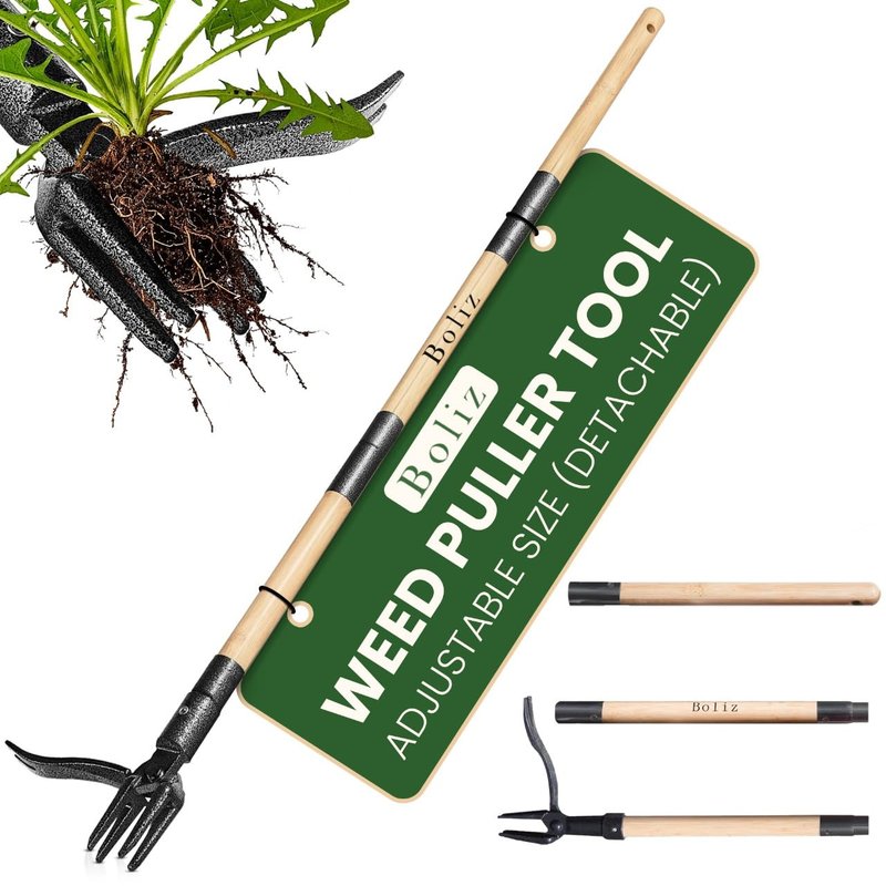 Boliz 46” Detachable Weed Puller Tool Stand up Heavy Duty with 4-Claw Steel Head, Real Bamboo Garden Weed Pulling Tool, Weed Remover Tool Without Bending