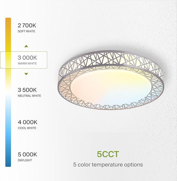 ASD 20 Inch LED Flush Mount Ceiling Light Fixture for Bedroom, 42W 2474LM 5CCT 2700K-5000K, Triac Dimmable Lights, Dining, Living Room, Kitchen Lamps, Modern Home Lighting Fixtures, Nickel, ETL