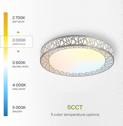 ASD 20 Inch LED Flush Mount Ceiling Light Fixture for Bedroom, 42W 2474LM 5CCT 2700K-5000K, Triac Dimmable Lights, Dining, Living Room, Kitchen Lamps, Modern Home Lighting Fixtures, Nickel, ETL