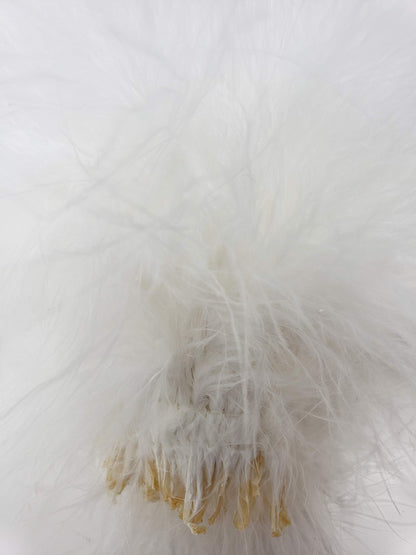 Creative Angler Strung Marabou Bird Feathers for Tying Fly Fishing Flies - Fly Tying Accessories - Perfect Choice for Tail & Wings and Easy to Tie On The Lure - Approximately 0.3 Ounces (White)