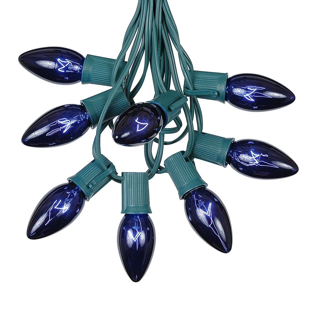 C9 Blue Outdoor Christmas Light Set - 25ft Hanging Roofline String Lights - Green Wire