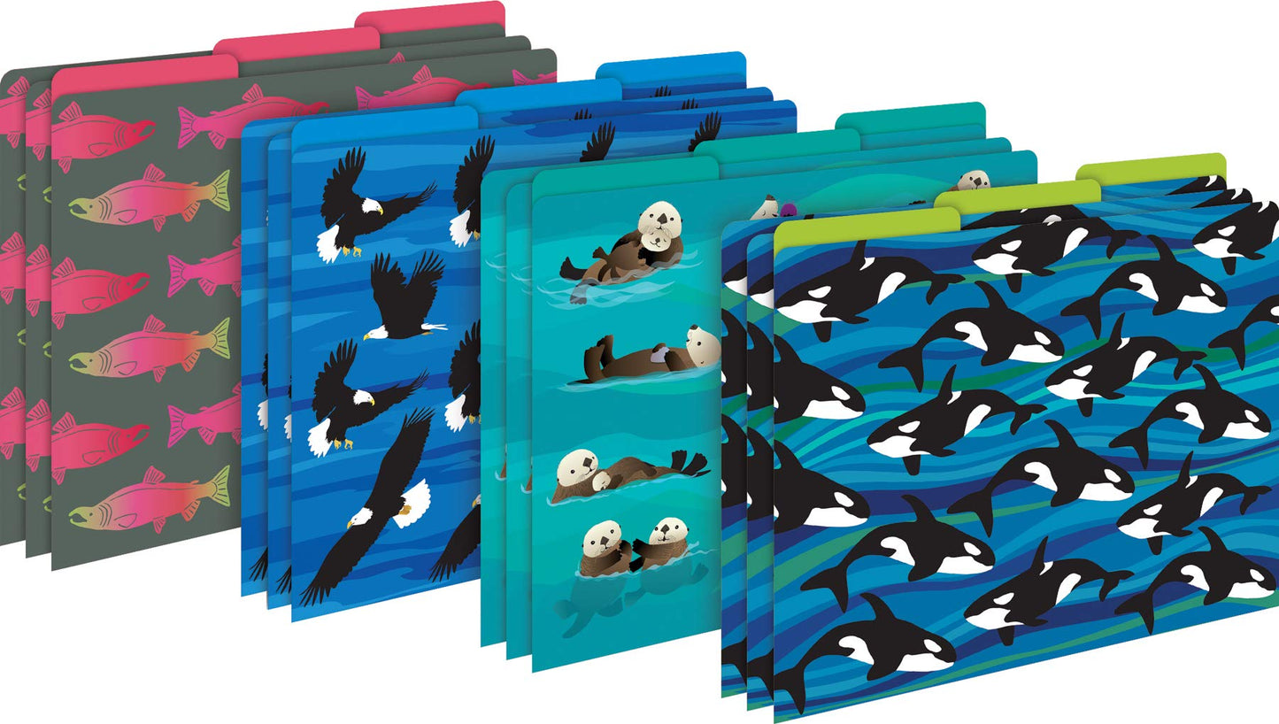 Barker Creek Sea & Sky File Folders Now on Durable 14pt Stock, 12/PK, Letter Size, 1/3 Cut Tabs, Reversible, Home, School and Office Supplies (2015)