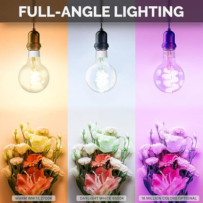 MOES Smart G80 Edison LED Light Bulbs, Color Changing WiFi G25 Smart Bulbs, 2700K-6500K CW& RGB Dimmable, Smart Life Remote Control, Work with Alexa/Google Home, 450lm 5W (50W Equivalent) 2 Pack