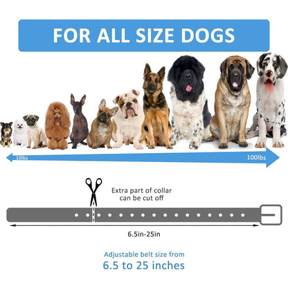 LuckinPET Replacement Collar Strap, Compatible with Petsafe,PATPET,Sportdog,Garmin,Dogtra,etc Most Training Collar/Fence Reciever, 3/4',Reflective,Adjustable,Metal Buckled,Waterproof (Blue)