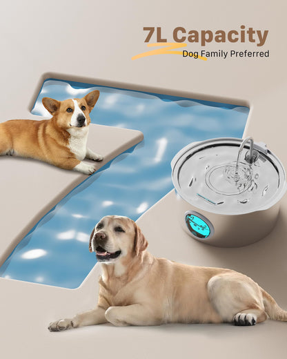 Dog Water Fountain for Large Dogs: Big Cat Water Fountain Stainless Steel -1.8Gal/7L Big Quiet Cats Water Bowl Dispenser- Pet Water Fountains for Dogs - 8 Filters + 8 Sponge Filters - GROOKPET