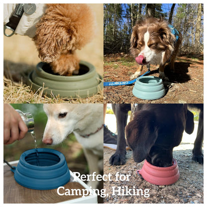 OHMO Spill Proof Collapsible Dog Water Bowl 24oz for Cars, No Splash Portable Bowls for Dog Travel, Pet Essentials for Road Trips, Cat Travel Accessories