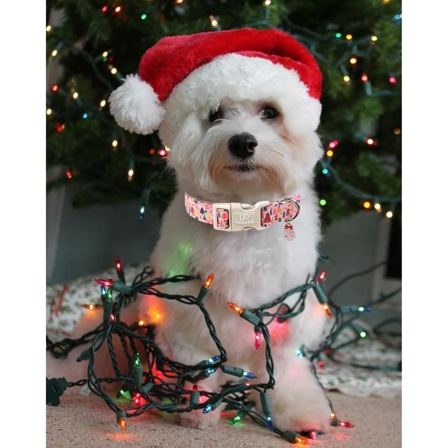 UP URARA PUP Christmas Dog Collar, Pink Christmas Tree for Dogs, Adjustable Pet Collar with Cute Xmas Tree Pendant, Festive Winter Dog Accessories for Small Medium Large Dogs M