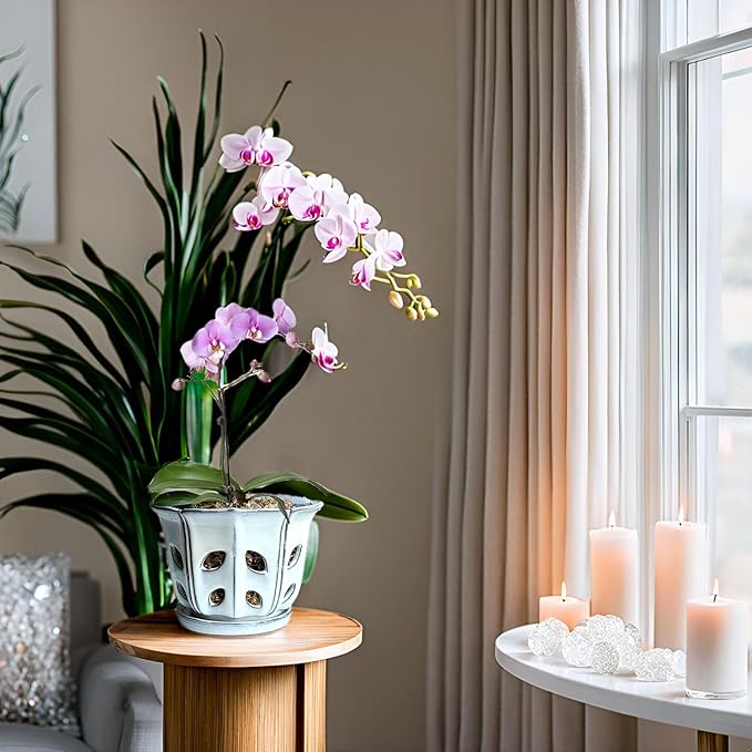 Orchid Pots with Holes 6 inch Ceramic Orchid Pot with Attached Saucer and Drainage Hole (White)