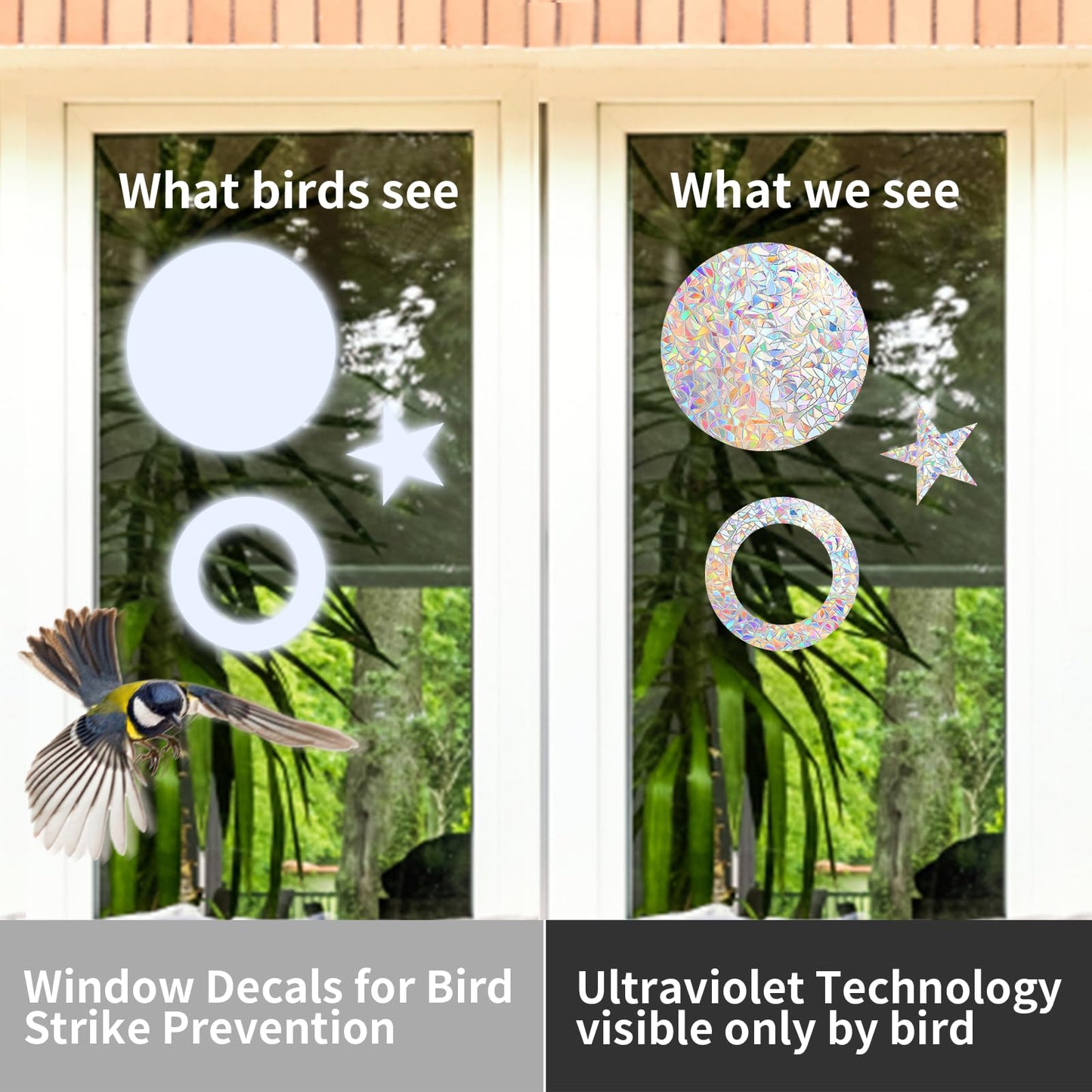 39 Anti Collision Window Decals for Bird Strike Prevention, Window Clings Suncatcher Stickers