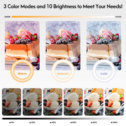 Overhead Camera Mount with Ring Light Phone Holder,10" LED Ring Light for Desk with Stand and Remote for iPhone,Phone Tripod with Light for Video Recording TikTok Live Stream Cooking Kitchen Vlogging
