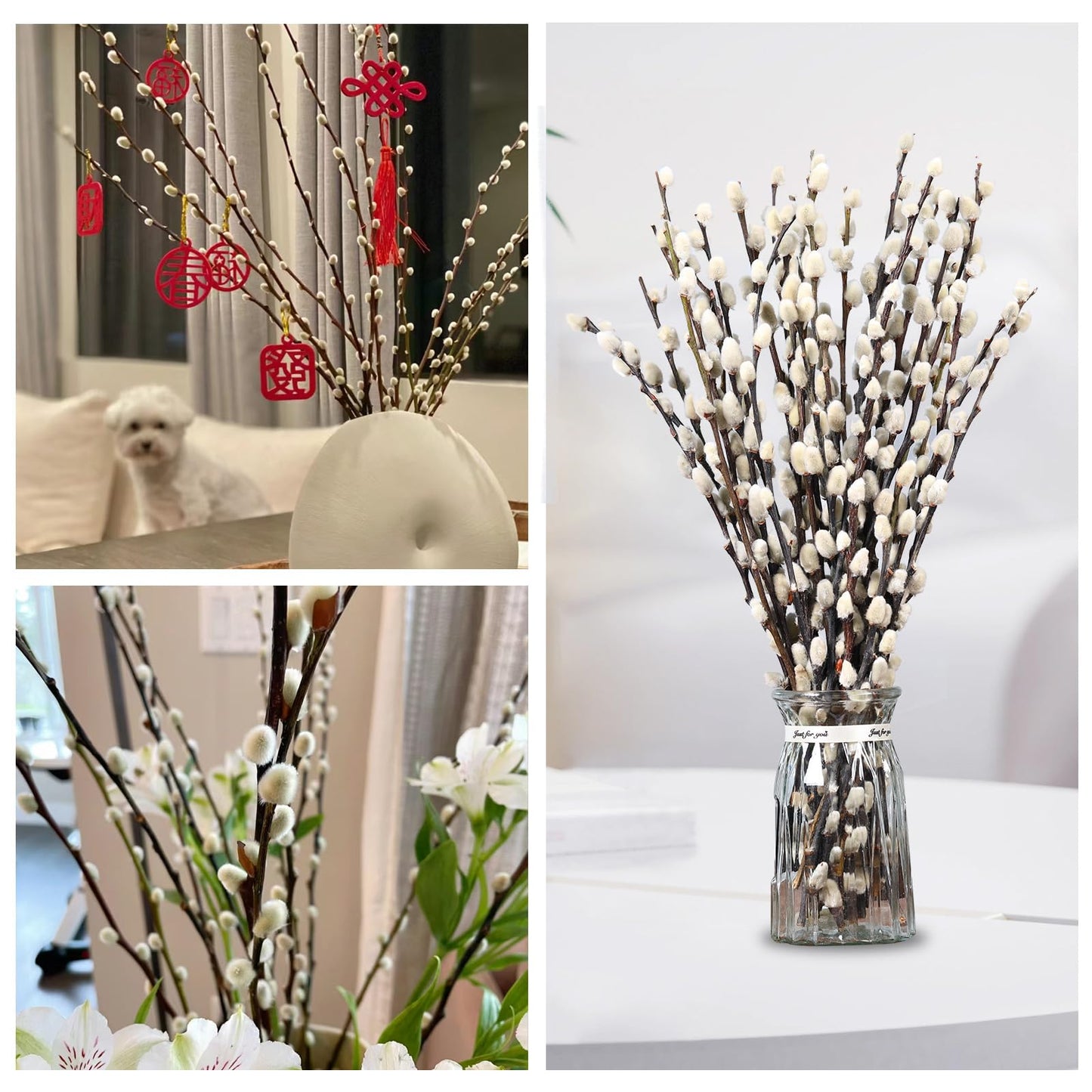 Natural Preserved Dried PussyWillow Branches for Vases, 30 Stems Real Willows, 17" Snow Pussywillows, Dried Flowers for Indoor and Outdoor Decor, Wedding Home DIY Floral Art Plants Fireplace