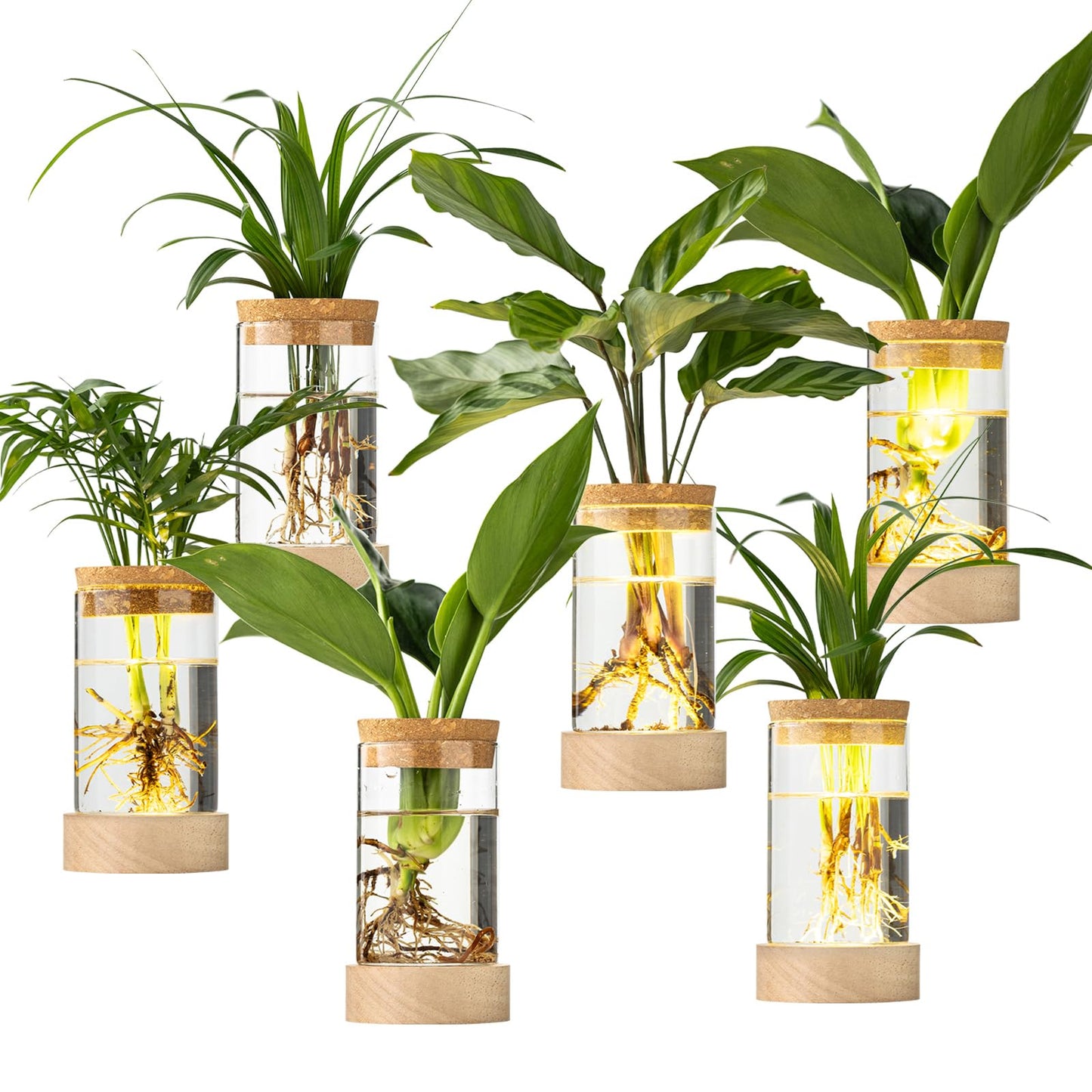 Glass Plant Propagation Stations, Propagation Vases for Plants with Ambient Light Base, Hydroponic Vase for Home & Office Windowsill Tabletop Decoration Desktop Vases for Living Room, Bedroom (6)