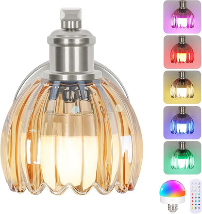 Rechargeable Battery Operated Wall Sconce with Amber Glass Lampshade, Wireless Wall Scone Decor with Remote Control, 15 Colors Brushed Nickle Wall Light for Bedside Hallway Bedroom Doorway