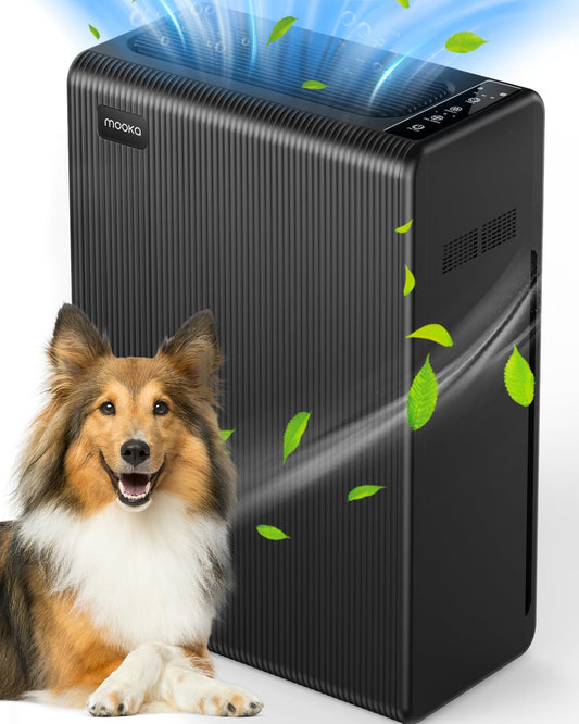 Air Purifiers for Home Large Room up to 2000ft², H13 HEPA Air Filter for Pets Hair Dander Smoke Pollen Dust, Non-Ozone, Portable Air Purifiers for Bedroom Office Living Room, E-300L, White