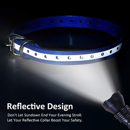 LuckinPET Replacement Collar Strap, Compatible with Petsafe,PATPET,Sportdog,Garmin,Dogtra,etc Most Training Collar/Fence Reciever, 3/4',Reflective,Adjustable,Metal Buckled,Waterproof (Blue)