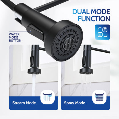 Kitchen Faucet with Pull Down Sprayer, High Arc Single Handle Stainless Steel Kitchen Sink Faucet with Sprayer for Rv Camper, Matte Black